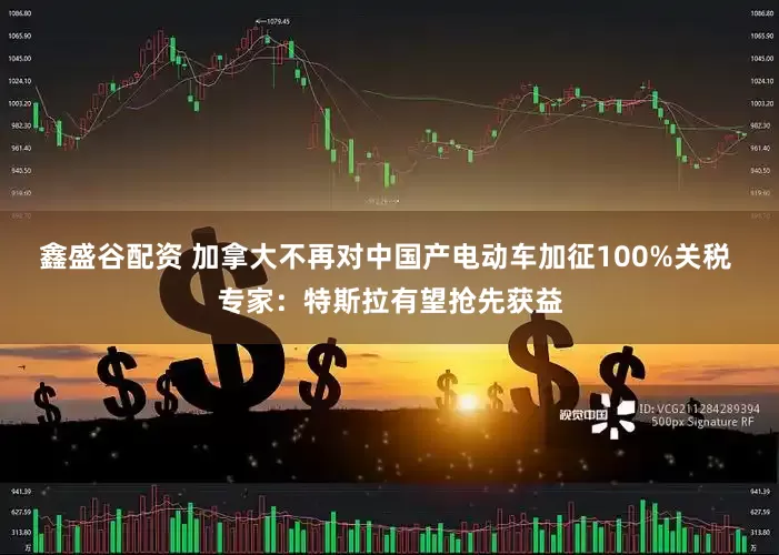 鑫盛谷配资 加拿大不再对中国产电动车加征100%关税 专家：特斯拉有望抢先获益
